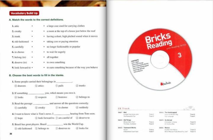 Bricks Reading 3-11.jpg