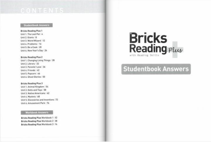 Bricks Reading plus Teacher