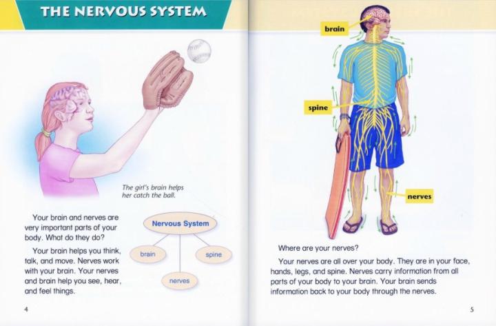 Inside The Human Body-4.jpg